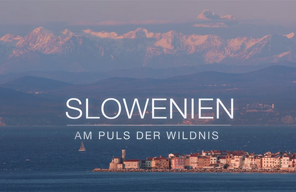 Slowenien - Am Puls der Wildnis